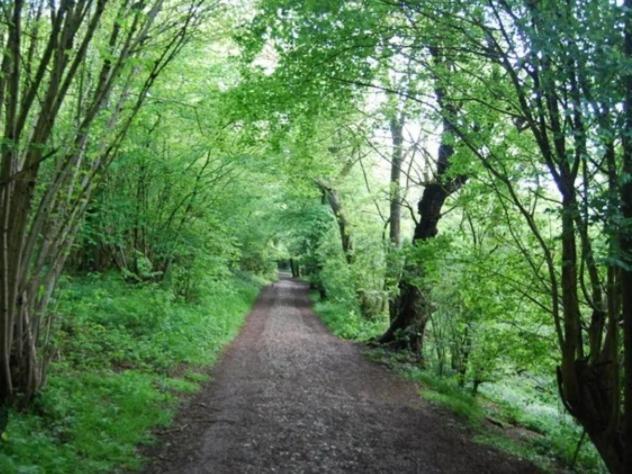Ramblers Rest Apartman Meopham  Kültér fotó
